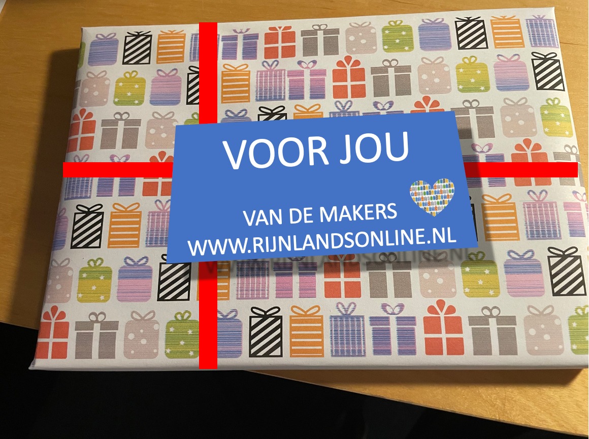 Studiebegeleiding RijnlandsOnline